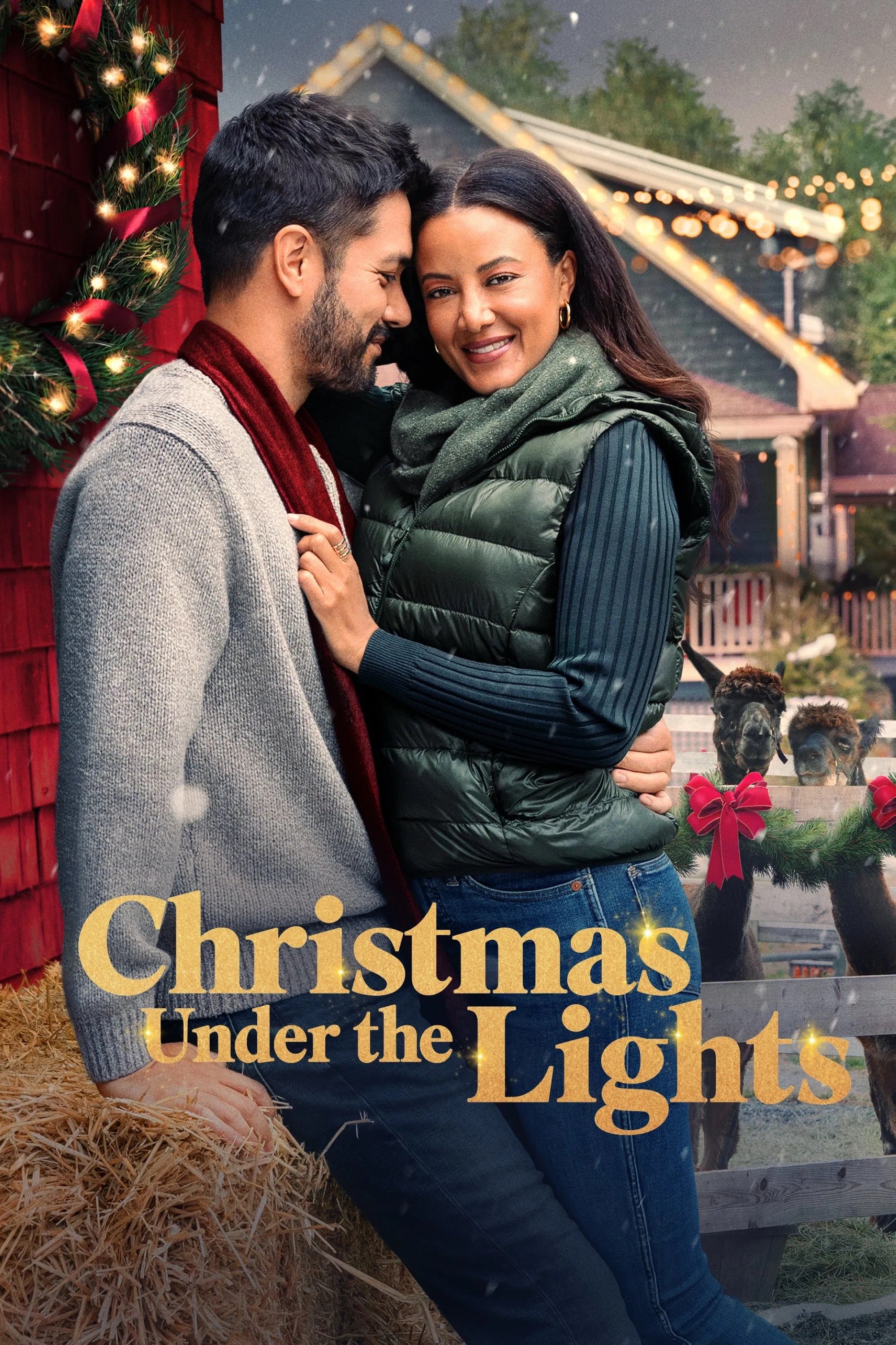 Christmas Under The Lights
