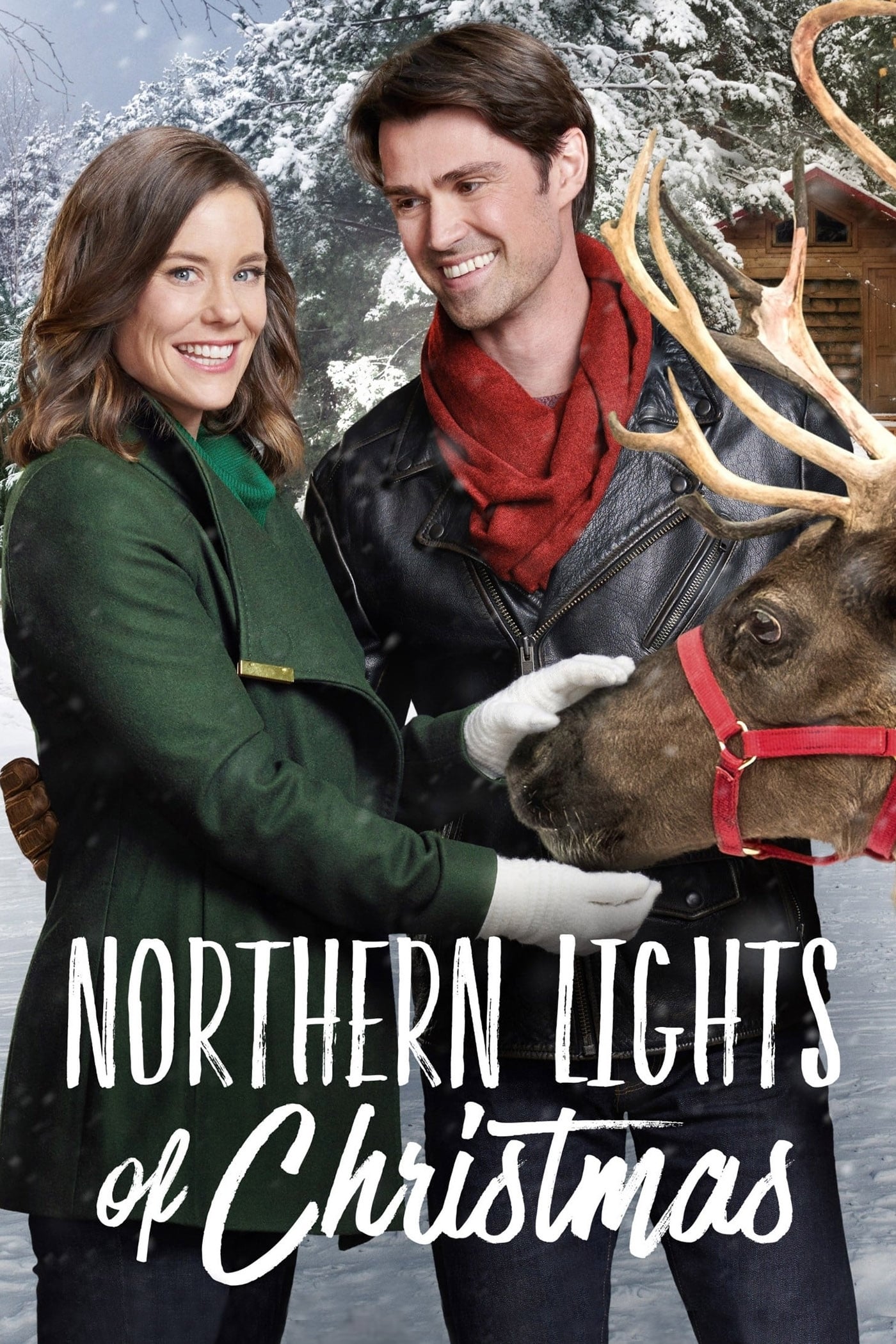 Northern Lights Of Christmas