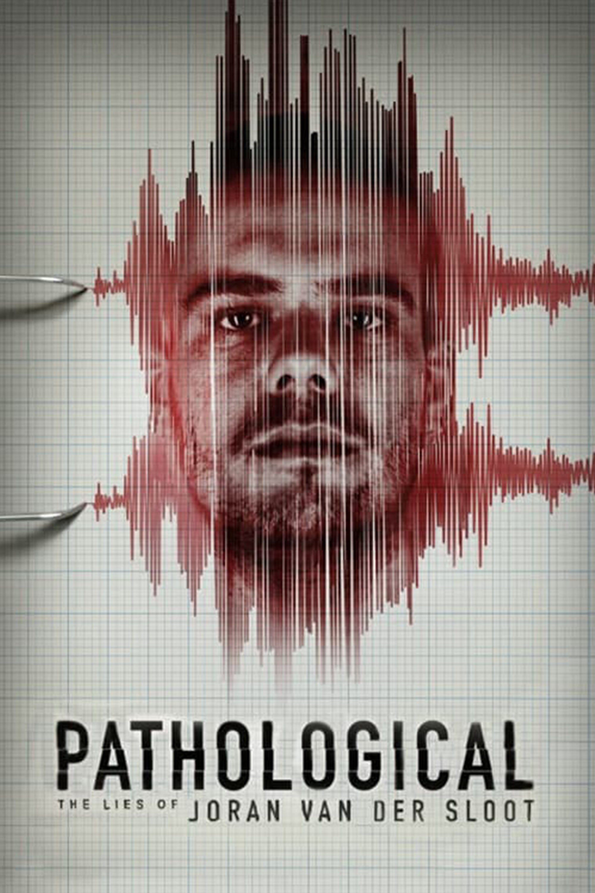 Pathological The Lies Of Joran Van Der Sloot