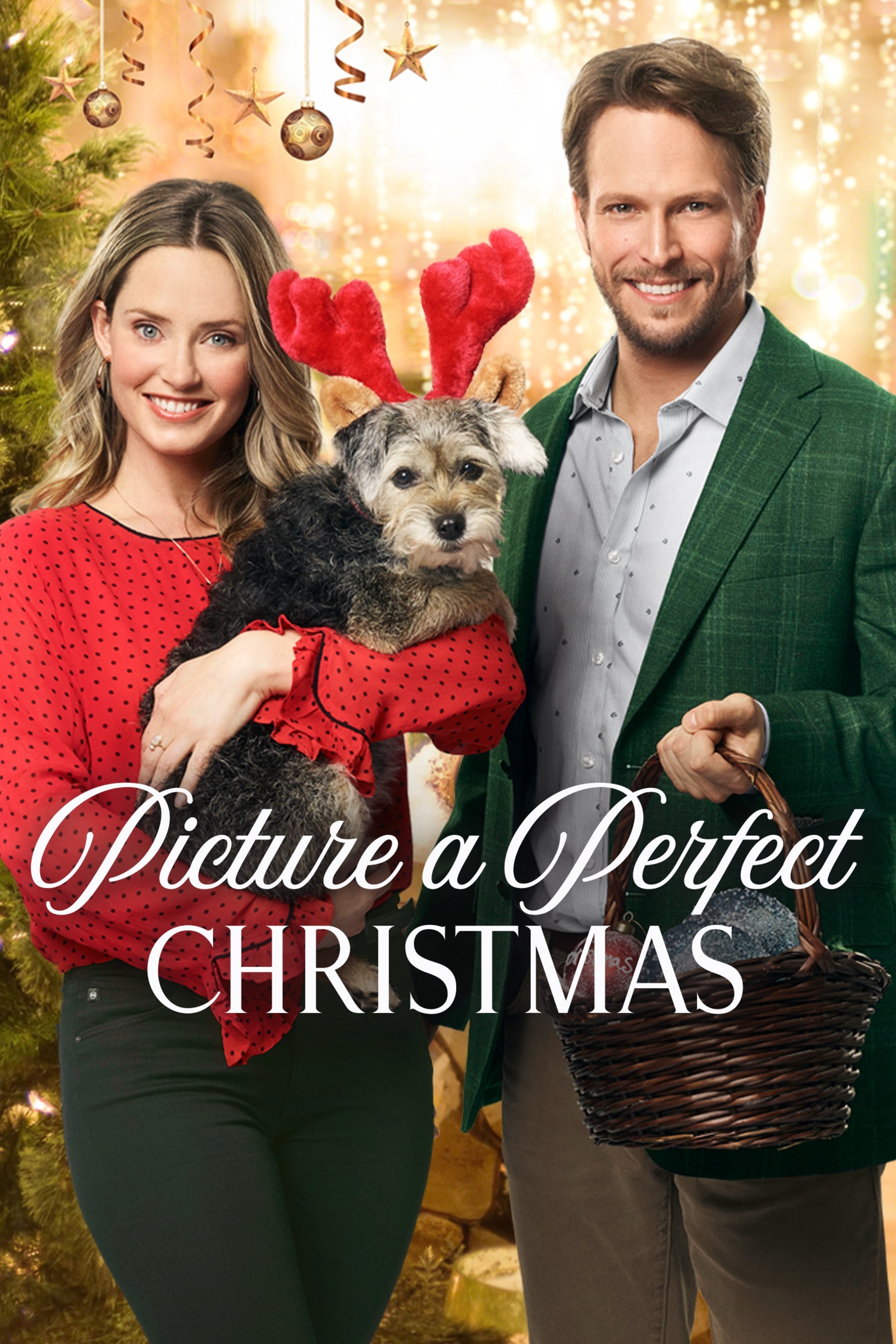 Picture A Perfect Christmas