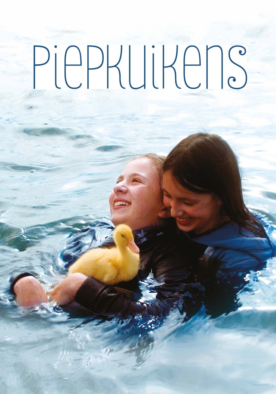 Piepkuikens