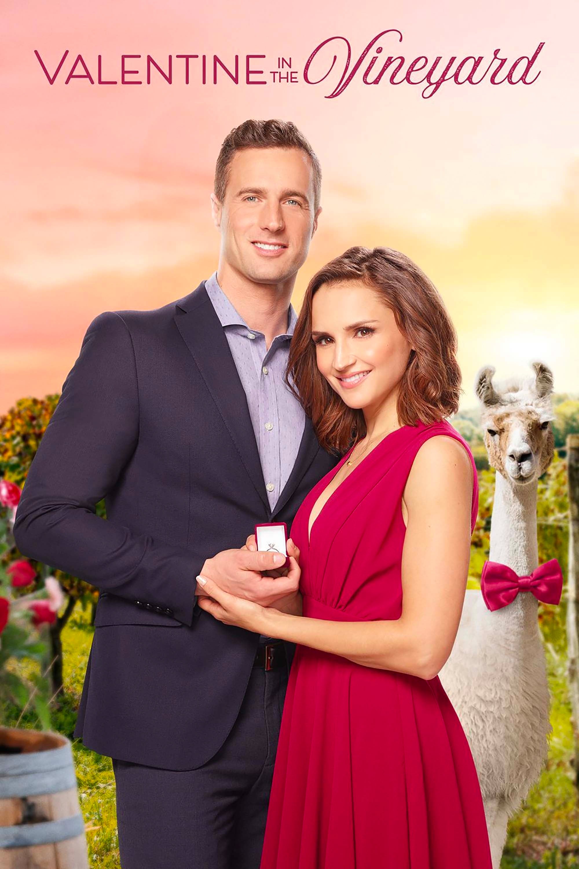 Valentine In The Vineyard