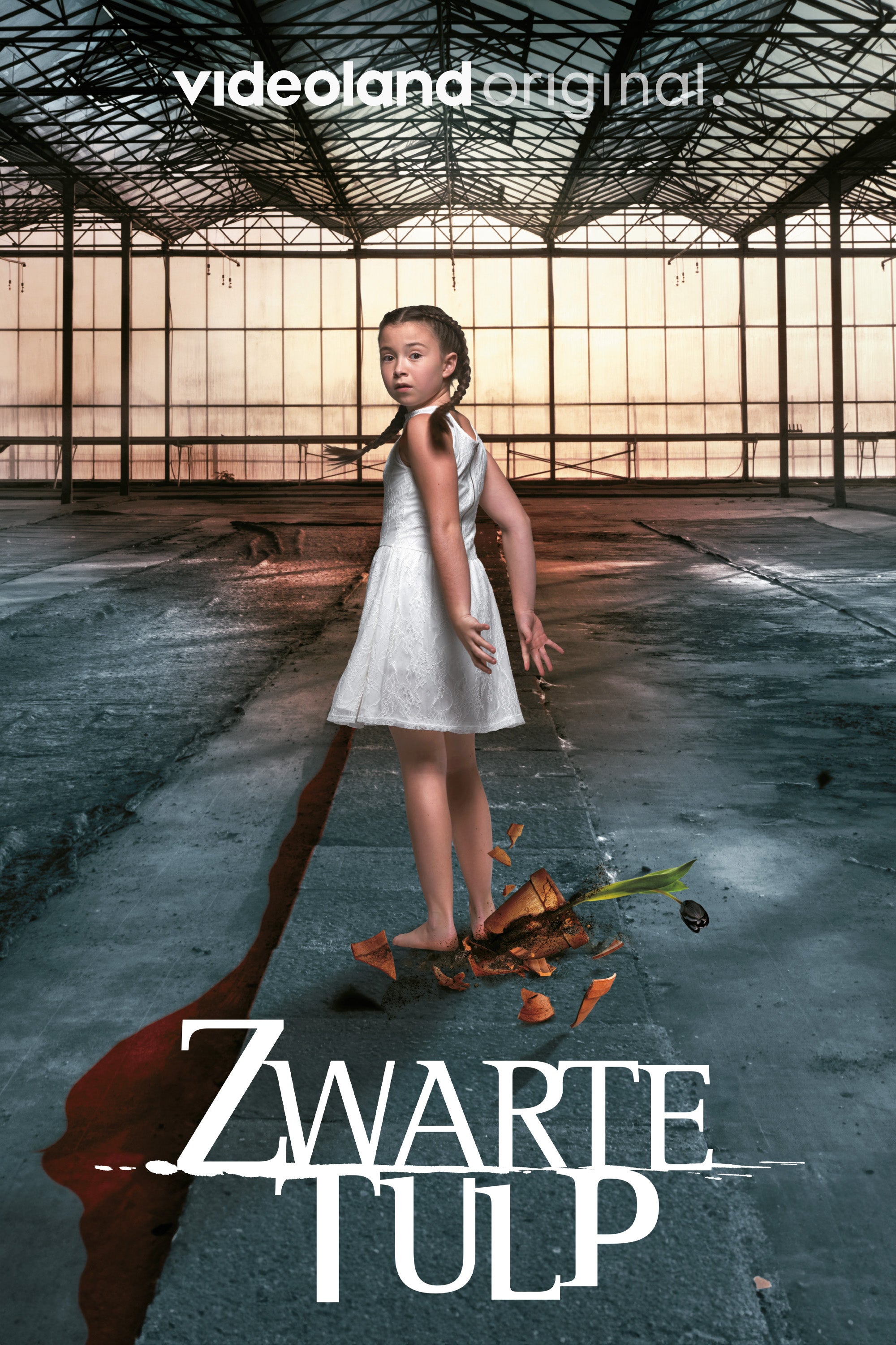 Zwarte Tulp